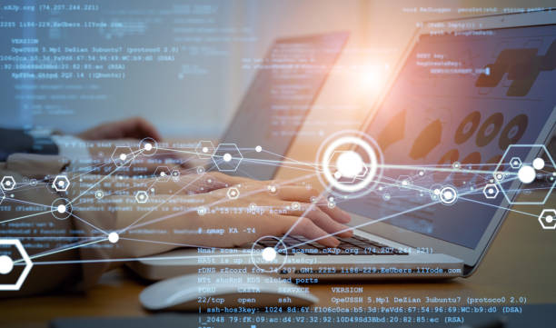 website developer design